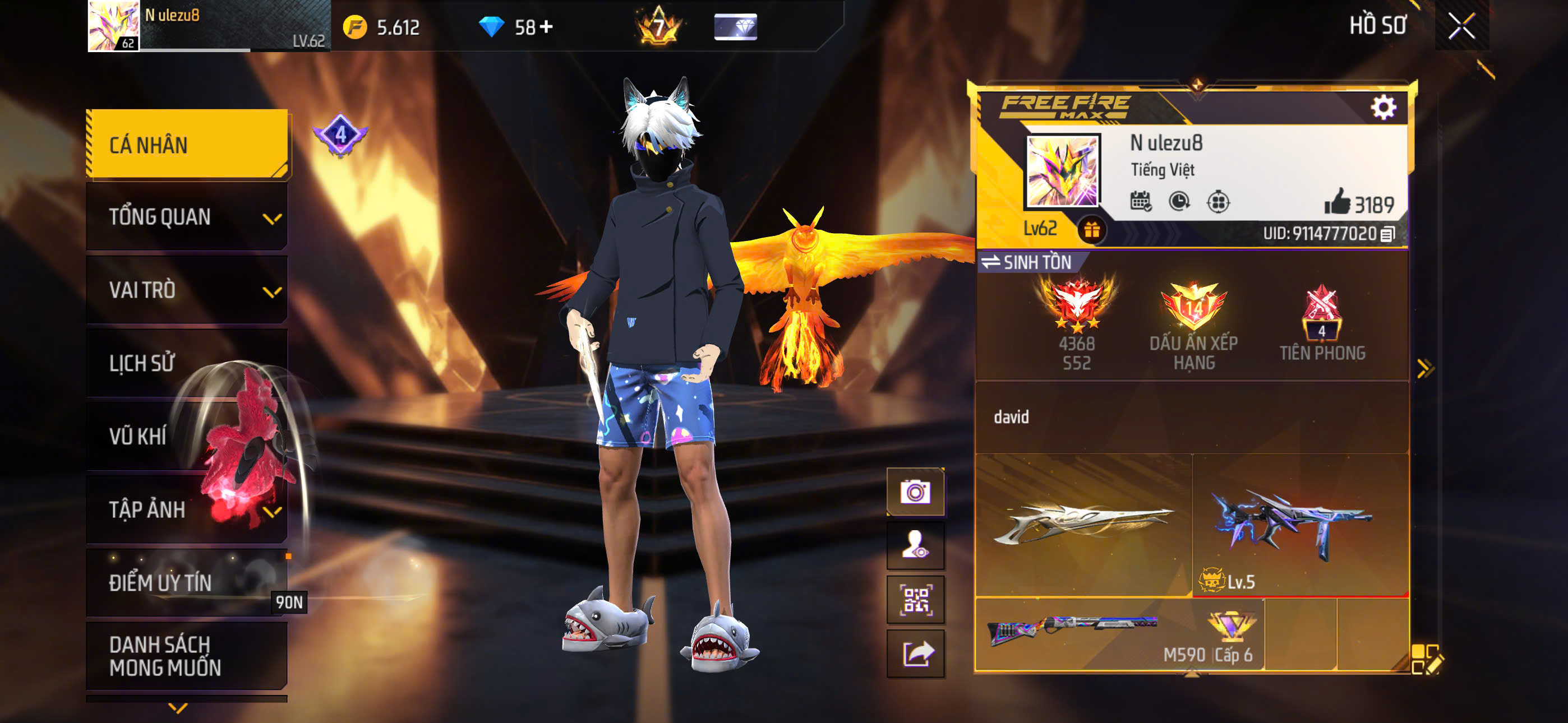 Account Preview