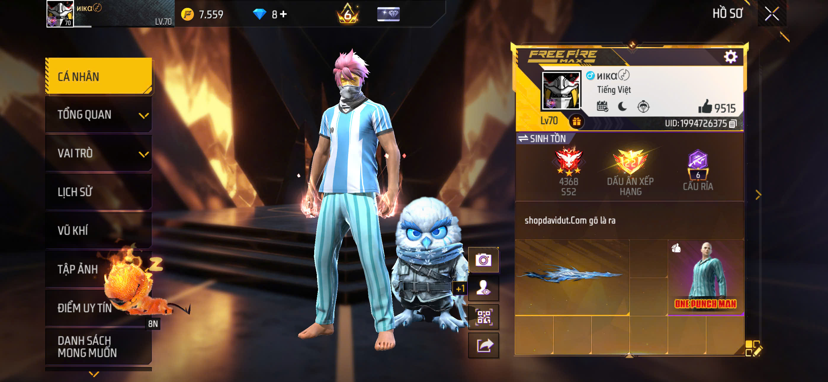 Account Preview
