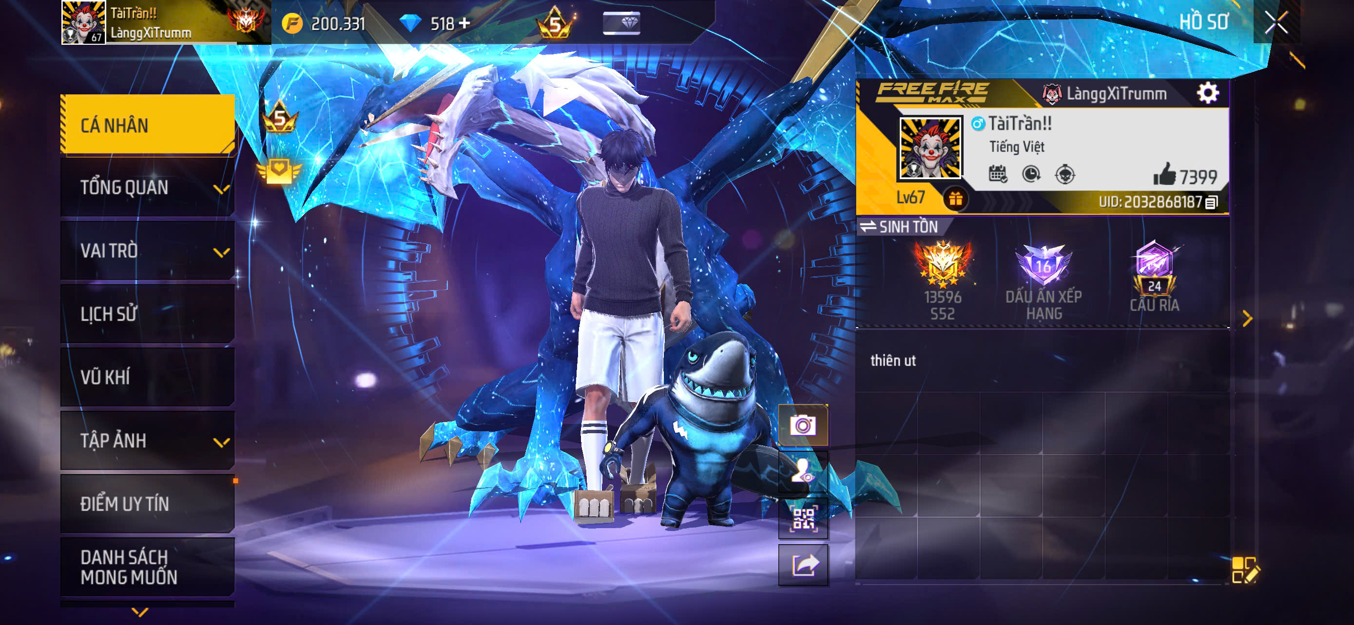 Account Preview